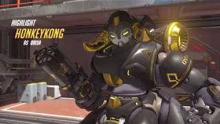 Orisa Shield Bug 2/8/18