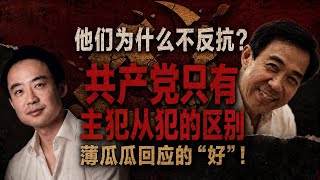 他们为什么不反抗？共产党只有主犯和从犯的区别，薄瓜瓜回应的“好”！|红色后代的局限|薄瓜瓜应该更进一步|认清共产党本质|赵国君