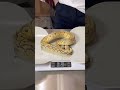 This girl has a ton of potential 🔥 #ballpython #ballpythonsnake #reptiles #pets #snake