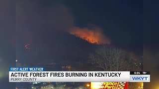 Multiple forest fires burn across Kentucky as dry conditions persist