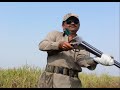 Partridge Hunt (Teetar Shikar) in Sindh Pakistan