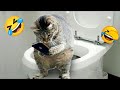 😺 Funny Animal Videos Compilaton Of The 2024 🤣