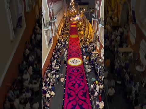 Cargando procesión gigante en Guatemala 🇬🇹