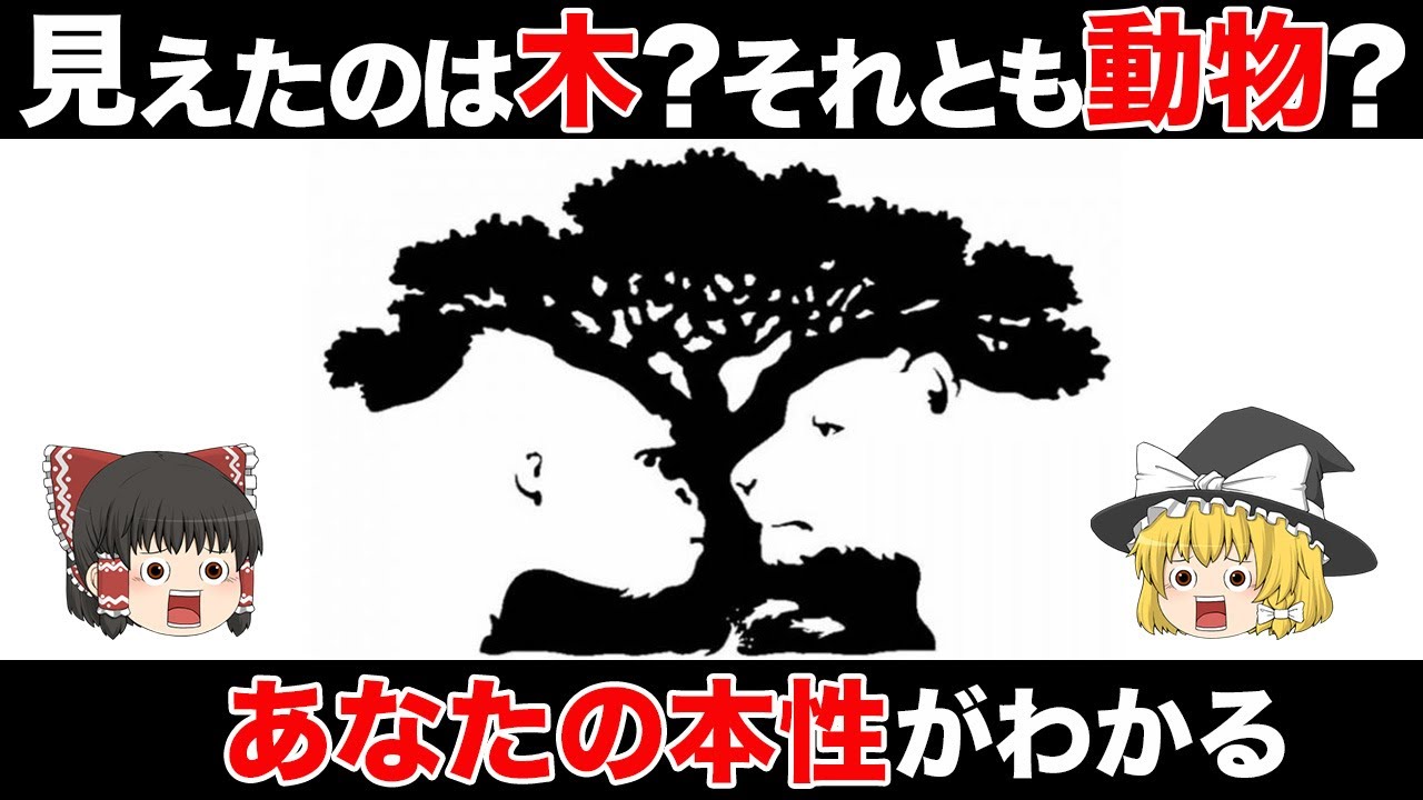 【ゆっくり解説】最初に見えたものであなたの本性がわかってしまう心理テスト