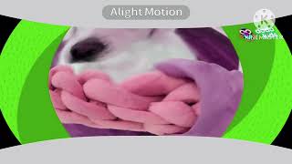 Video edit bot test!