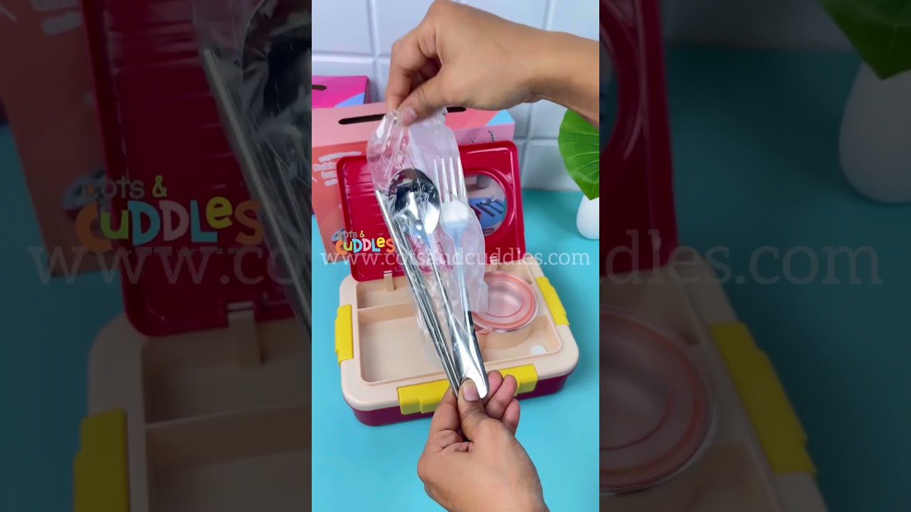 Bento stylish Tiffin 