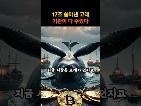 비트코인 고래들 17조원 매도! 무슨일이? | 암호화폐 뉴스 | 비트코인 전망 | 비트코인 분석 | 블록체인 경제