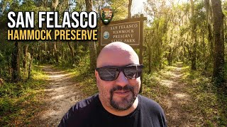 Hiking Gainesville s Hidden Gem San Felasco Hammock Preserve State Park Florida