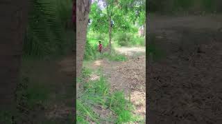 nuka guppi video☠️💀💀😀😍😍