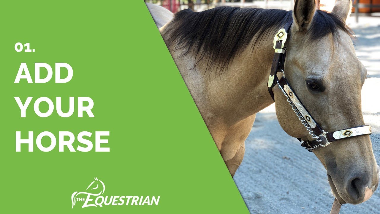 01  Getting Started - Adding your Horse to the app