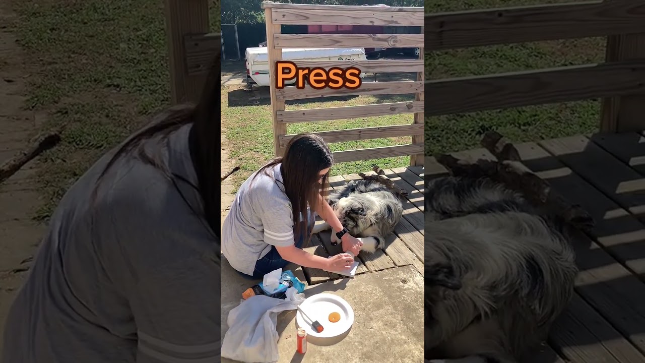 Paw Print Pumpkins with Koda! 