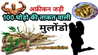 मुलोंडो जड़ी-बूटी सभी प्रकार की पुरुषों की मर्दाना कमजोरी को दूर करती है/ Benefits of Mulondo screenshot 2