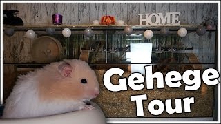 Hamstergehege Tour / Cagetour Mai 2017