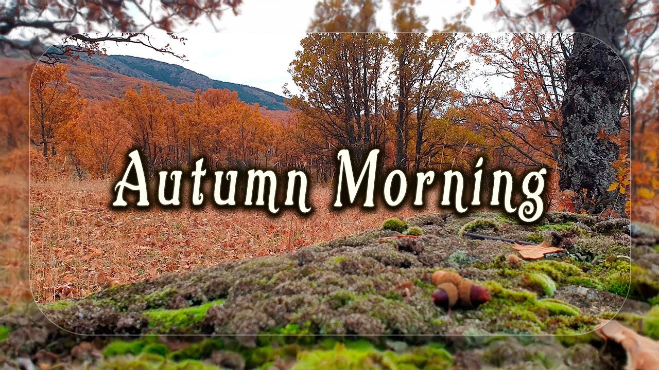 Fresh Autumn Morning & Positive Energy 🍂 Healing Frequency Nature Therapy 🍂Nature Ambient Meditation