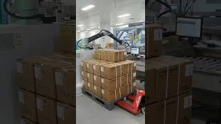 automatic coordinate palletizer!robot auto coordinate palletizer!robot palletizer collaborative!