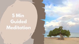 5 Min Guided Meditation