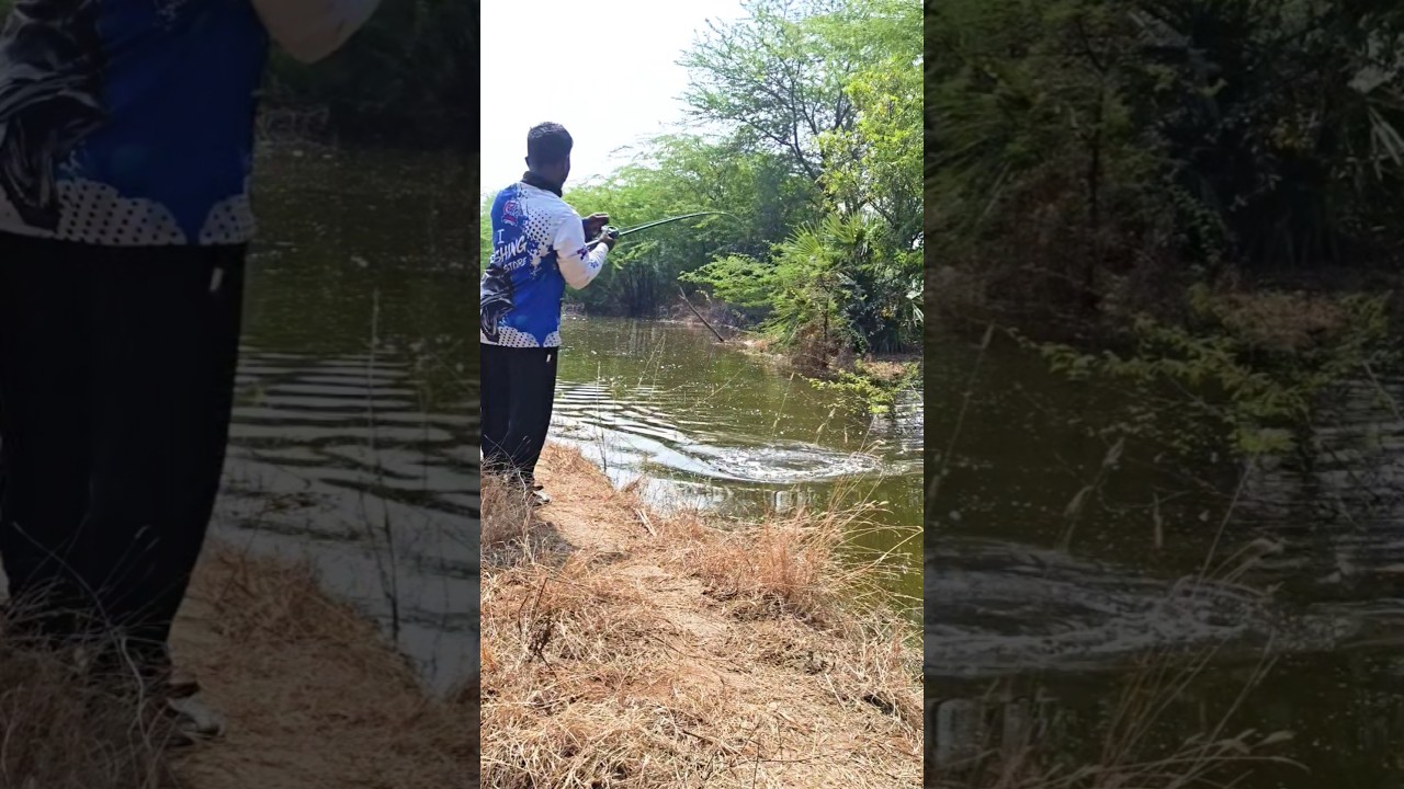 big monster fish live strike 