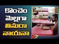 Watch viral video of a man and bird eating food in the same plate