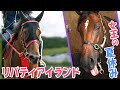 【二冠牝馬】リバティアイランドの夏休み【可愛すぎるお嬢さん】