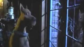 Scooby Doo444.avi