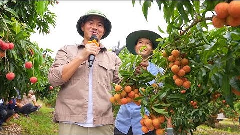 NSND XUÂN BẮC I GAMESHOW MÙA VUI THU HÁI VẢI THIỀU