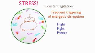 Stress & Living Authentically Pt 6