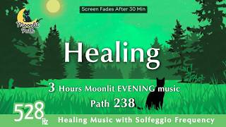 【528Hz | 穏やかな気持ち】🌙 Path 238 | Healing - Restful Sleep Music for Peaceful Moments 【朝まで熟睡🌙】