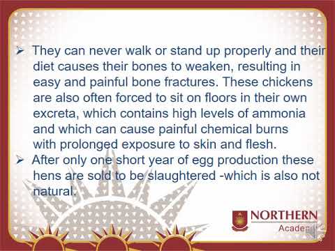 What Is Ill Health Inhumane Farming Methods And Environmental Degradation