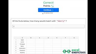 Excel Wildcard Characters Explained