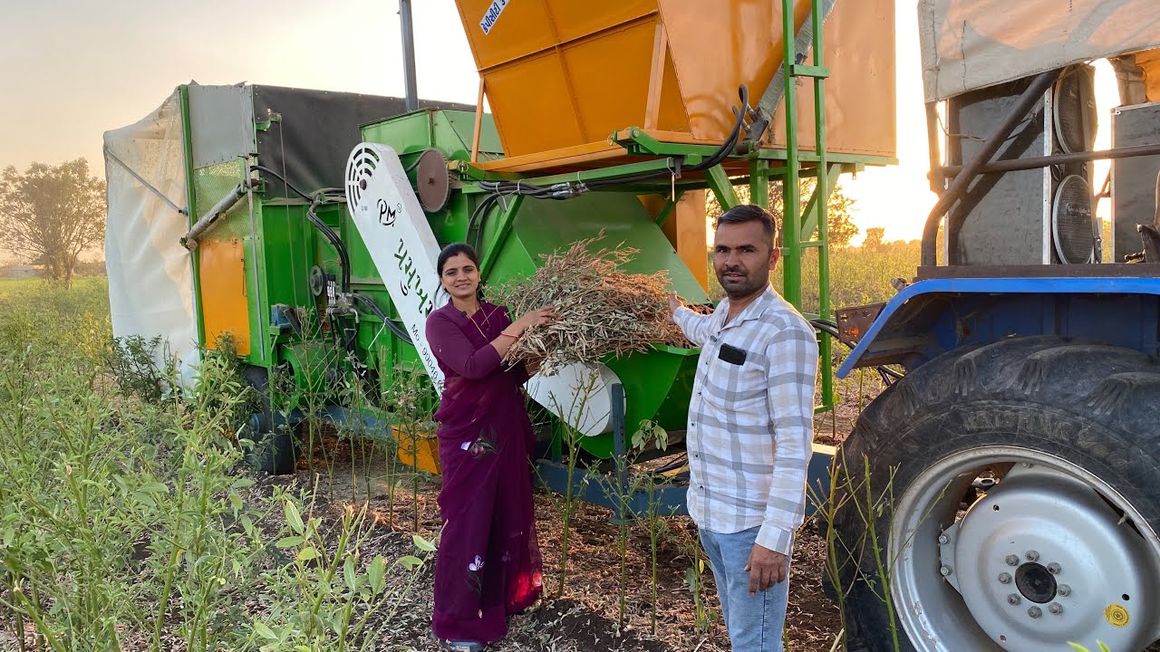 આજે આપણી તુવેર નીકળી ને થય ગય ત્યાંર