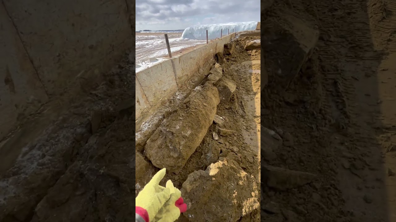 Наконец-то теплая погода!