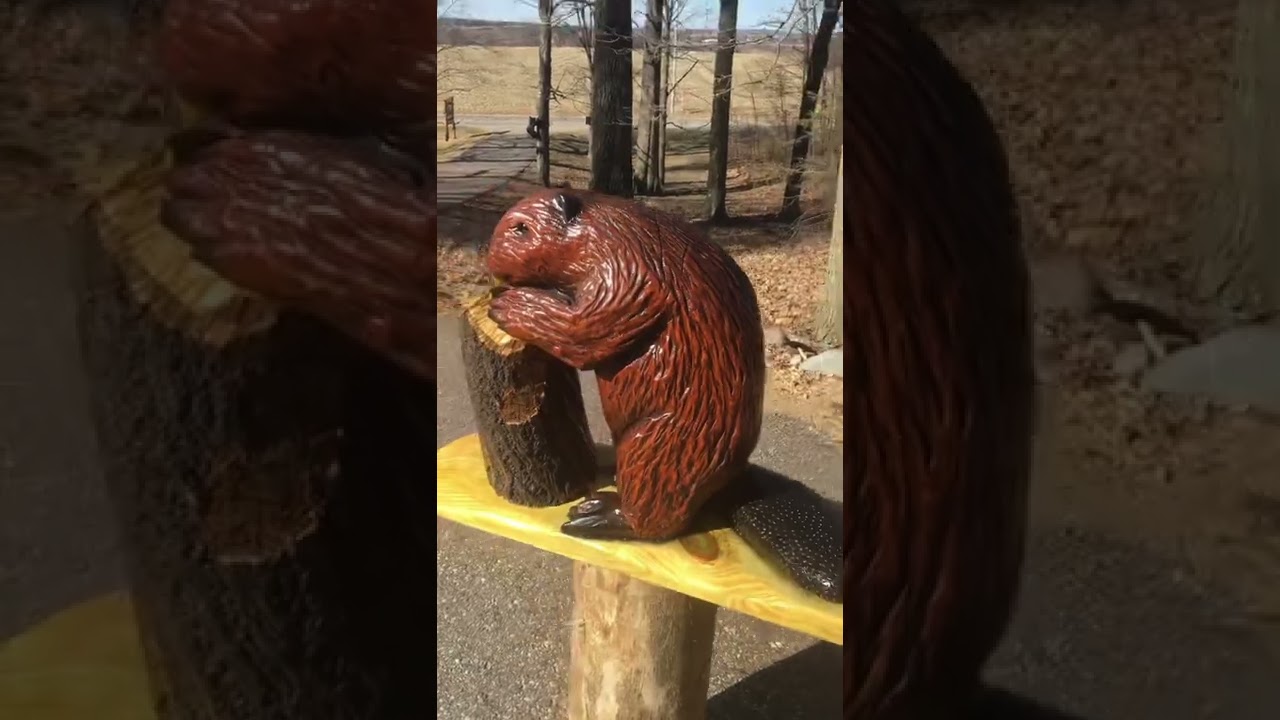 Beaver Chainsaw Carving