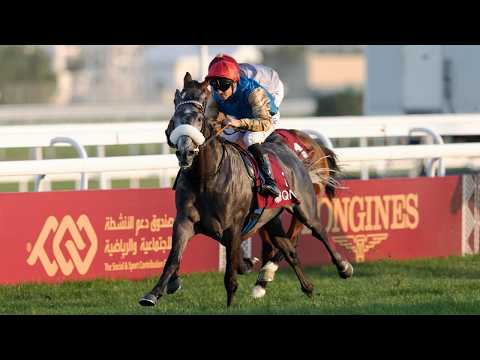 RM 51 Al Rayyan Race 4 H H The Amir Sword Festival Day 4 RM 51 Al Rayyan Race 4 H H The Amir Sword Festival Day 4