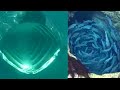 海洋恐怖症を引き起こす脅威の動画(川・湖含む)
