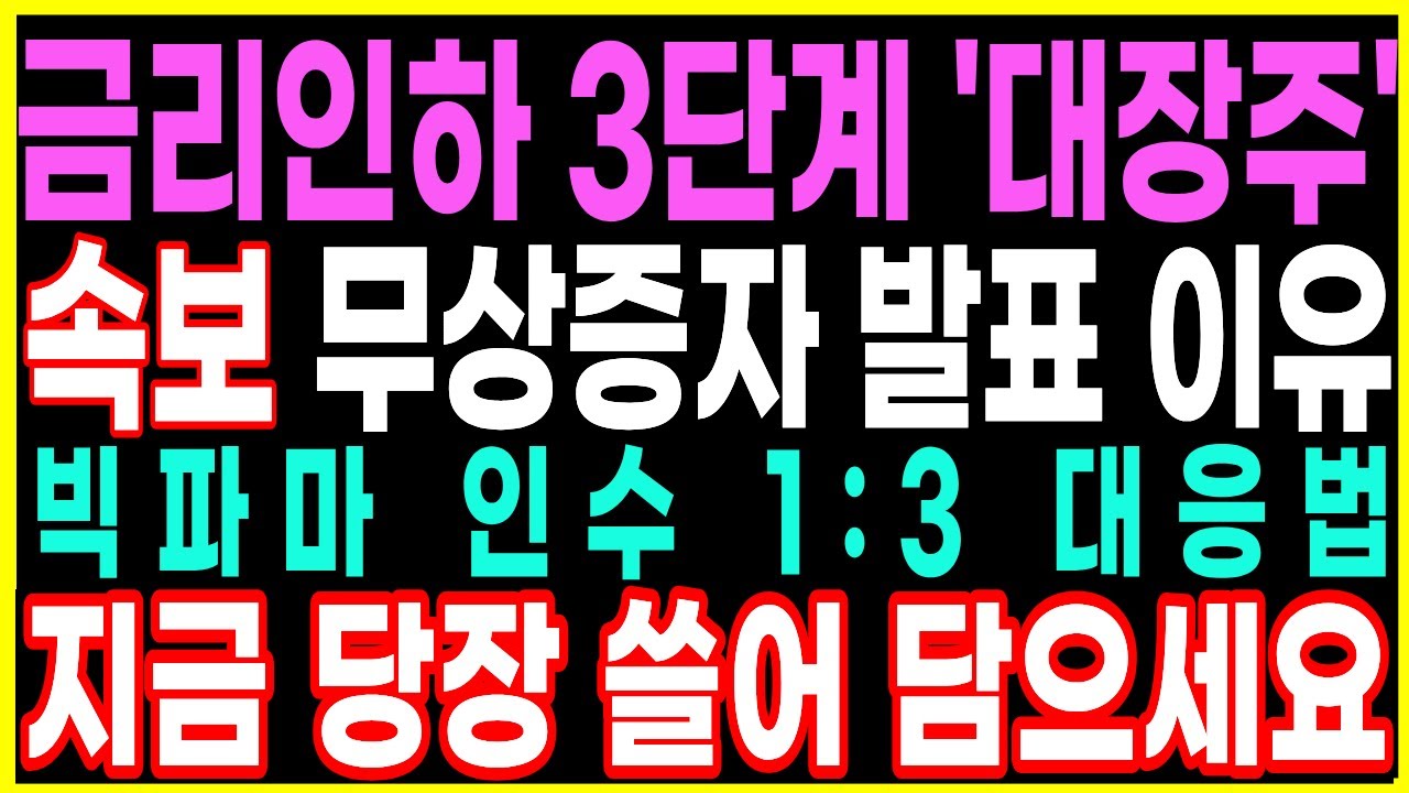 [디앤디파마텍 주가전망] 금리인하 3단계 '대장주' 속보 무상증자 발표 이유 빅파마 인수 1:3 대응법 지금 당장 쓸어 담으세요 | 제약바이오 신약개발 디에스황제주식TV 순자