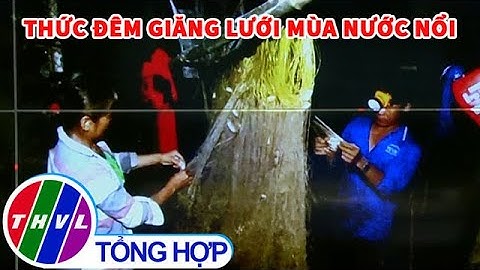 Thức đêm giăng lưới mùa nước nổi