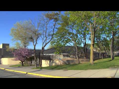 P.S. 219 Paul Klapper