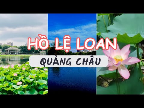 Công viên Hồ Lệ Loan Vịnh Lệ Chi Quảng Châu| cuộc sống Trung Quốc 荔湾胡公园荔枝湾 Lychee Bay Guangzhou