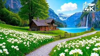 Calming Music for the Mind 🌱 Beautiful Relaxing Music Helps Reduce Anxiety & Stop Overthinking #32 screenshot 4