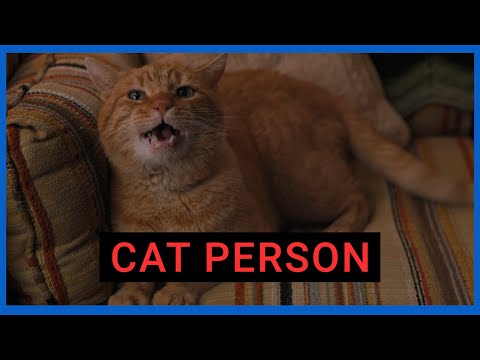 Cat Person - Cat Person