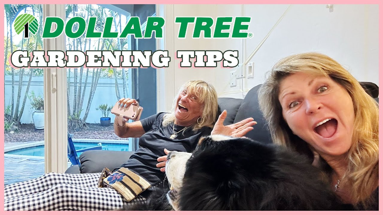 budget-friendly-gardening-amazing-tips-and-ideas-using-dollar-store