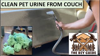 How to Clean Dog or Cat Urine from Couch | DIY Guide | Ep 11