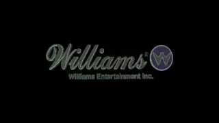 Williams Logo 1995