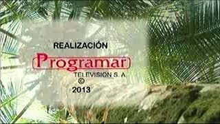 Últimos programas de RTI y Programar en el Canal Uno: 100% Pacífico