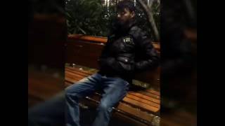 Sevcan Dalkıran 2017