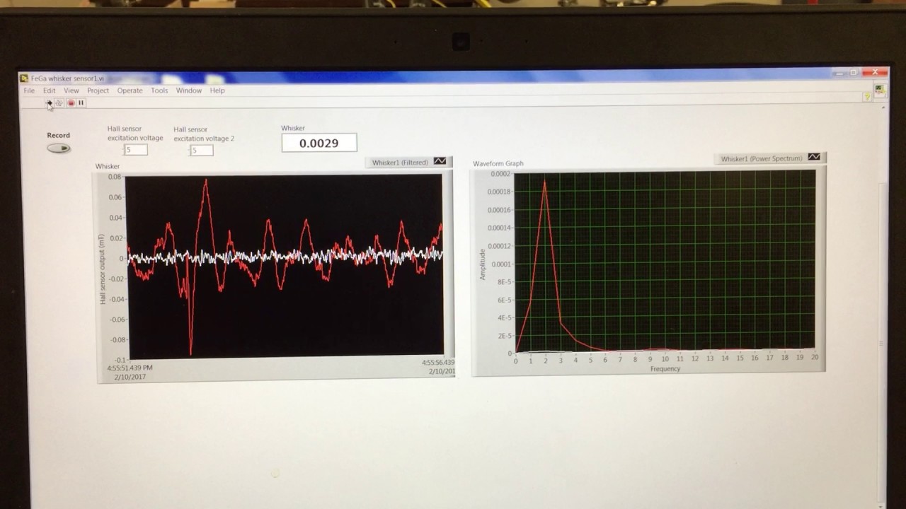 FeGa Whisker test in water and air