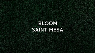Saint Mesa - Bloom (Lyric Video)