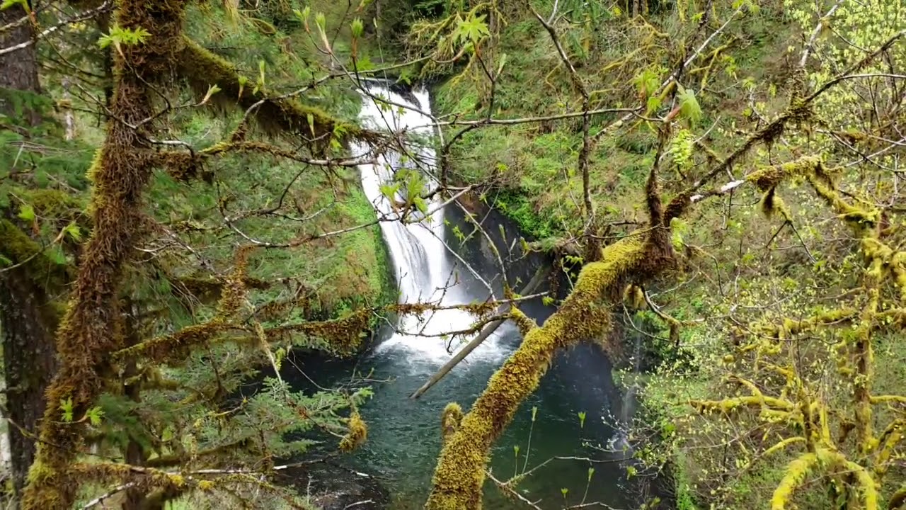 Butte Creek falls crooked finger road Scotts Mills Oregon YouTube