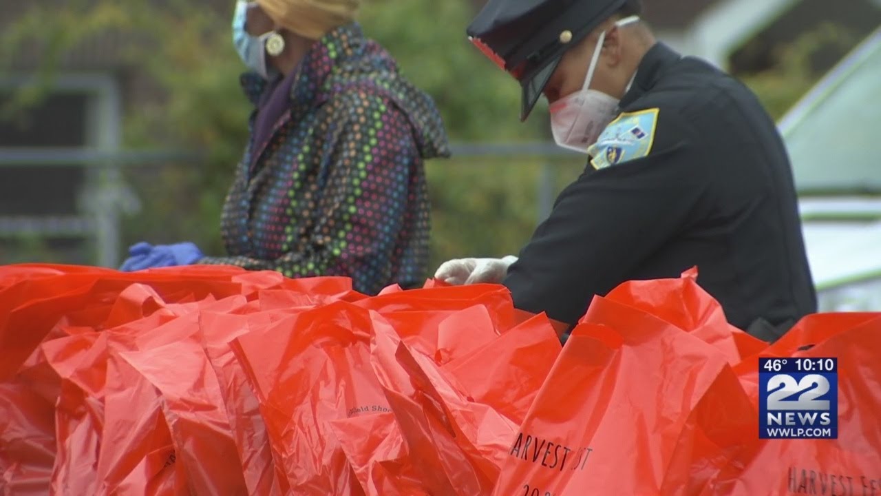 Trunk or Treat event held in Springfield YouTube