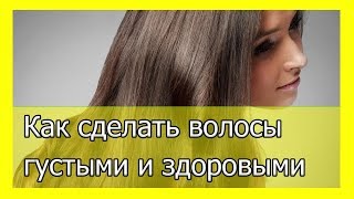 Как сделать волосы густыми и здоровыми Как сделать волосы густыми и здоровыми